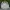 Fila Streetwear Casual Windbreaker Pria white photo 1