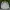 Fila Streetwear Casual Windbreaker Pria White