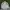 Fila Streetwear Casual Windbreaker Pria white photo 5