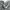 Nike Streetwear Sportswear Sweater Wanita gray photo 4