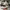New Balance Luxury Casual Sneakers Pria multicolor photo 5