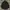 Hugo Boss Luxury Casual Harrington Jacket Pria Black
