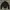 Hugo Boss Luxury Casual Harrington jacket Pria black photo 4