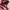 Puma Streetwear Sock Pria red photo 1