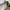 Y2K Casual Maxi skirt Wanita multicolor photo 3