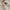 Casual Summer dress Wanita white photo 3
