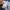 Adidas Sportswear Jersey Pria navy photo 7