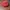 Vintage Streetwear Hat Pria red photo 7
