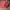 Vintage Streetwear Hat Pria red photo 6
