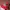 Vintage Streetwear Hat Pria Red