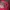 Vintage Streetwear Hat Pria red photo 3
