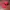 Vintage Streetwear Hat Pria red photo 2