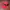 Vintage Streetwear Hat Pria Red