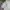 Vintage Sportswear Windbreaker Pria white photo 3