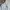 Vintage Sportswear Windbreaker Pria white photo 2