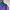 Vintage Y2K Windbreaker Pria purple photo 3
