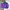 Vintage Y2K Windbreaker Pria purple photo 1