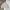 Spao Vintage Y2K Puffer jacket Pria white cream photo 1
