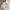 Spao Vintage Y2K Puffer jacket Pria white cream photo 3