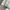 Spao Vintage Y2K Puffer jacket Pria white cream photo 4