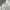 Spao Vintage Y2K Puffer jacket Pria white cream photo 2