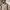 Uniqlo Y2K Casual Puffer jacket Pria tan cream photo 2