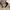 Uniqlo Y2K Casual Puffer jacket Pria tan cream photo 5