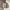 Uniqlo Y2K Casual Puffer jacket Pria tan cream photo 1