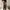 Vintage Casual trouser Wanita brown photo 4