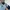 Adidas Streetwear Y2K Track jacket Pria blue photo 5