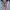 Adidas Streetwear Y2K Track jacket Pria blue photo 7