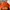 Kappa Vintage Casual Windbreaker Pria orange photo 7