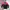Streetwear Sportswear Windbreaker Pria multicolor photo 1