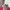 Streetwear Sportswear Windbreaker Pria multicolor photo 5
