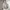 Streetwear Y2K Windbreaker Pria gray photo 1