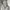 Spao Streetwear Y2K Windbreaker Pria gray photo 5
