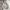 Spao Streetwear Y2K Windbreaker Pria gray photo 1