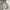 Spao Streetwear Y2K Windbreaker Pria Gray