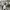 Spao Streetwear Y2K Windbreaker Pria gray photo 6