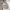 Spao Streetwear Y2K Windbreaker Pria gray photo 3
