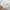 Nike Streetwear Puffer jacket Pria white photo 6
