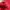 Nike Casual Windbreaker Pria red black photo 5