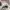 Converse Indie Casual Sneakers Pria white black photo 4
