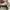 Converse Indie Casual Sneakers Pria white black photo 4