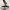 Converse Indie Casual Sneakers Pria white black photo 2