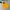 Dickies Gorpcore Sportswear Windbreaker Pria yellow photo 3