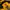 Dickies Gorpcore Sportswear Windbreaker Pria yellow photo 5
