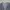 Japanese brand Indie Casual Cardigan Pria black gray photo 4