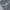 Japanese brand Indie Casual Cardigan Pria black gray photo 3