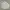 Tommy Hilfiger Casual Formal Shirt Pria White